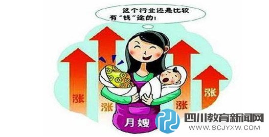 高學(xué)歷月嫂，月薪上萬