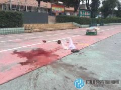 7歲小學(xué)生遭校車碾壓致死 司機已被控制